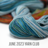 Yarn + Pattern Club : June 2023