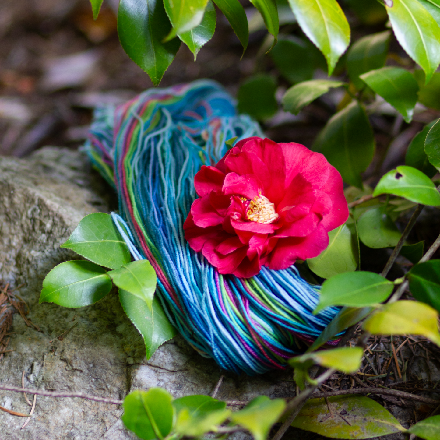 Yarn + Pattern Club : August 2024