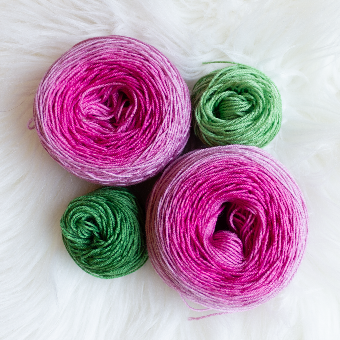 June Roses : Round Trip