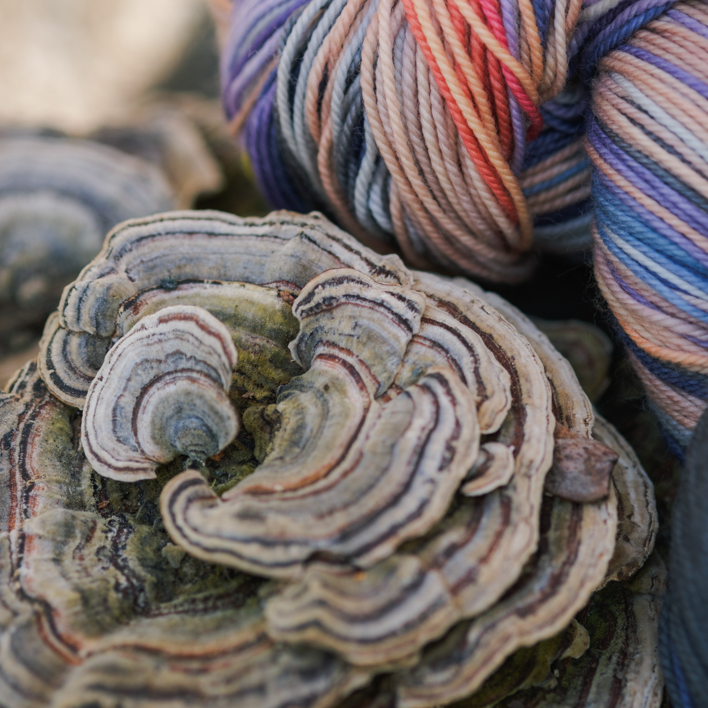 Yarn + Pattern Club : July 2024
