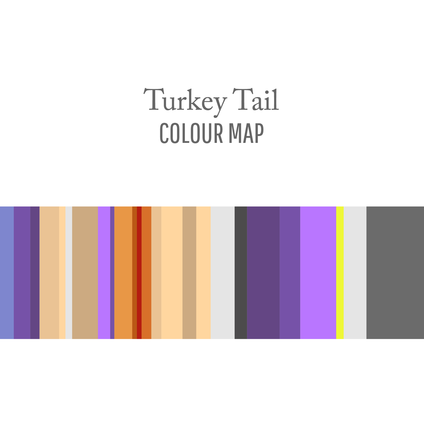 Turkey Tail : One Way Trip