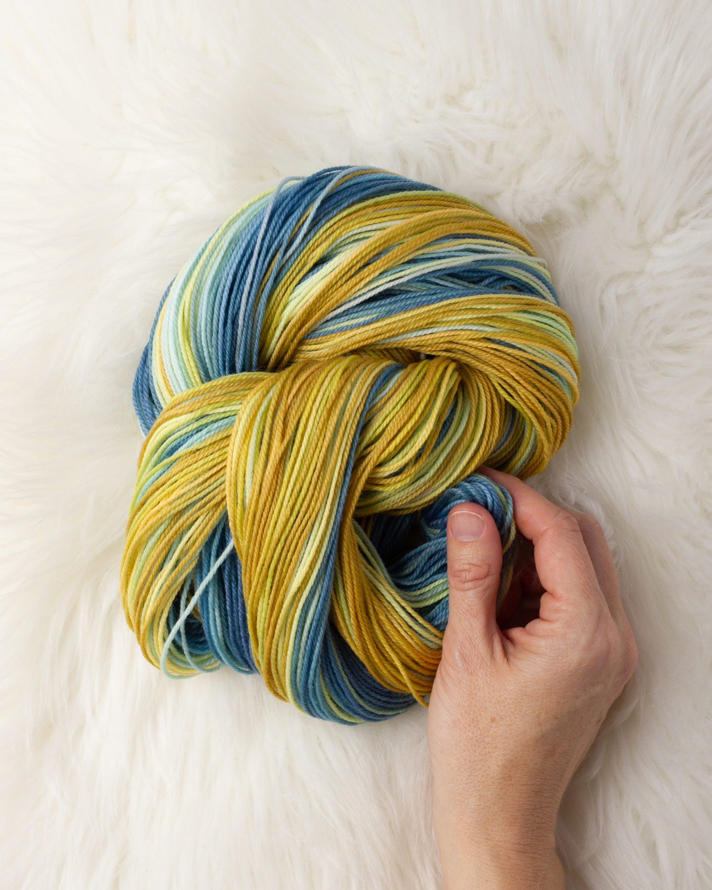 November Citrine : Round Trip