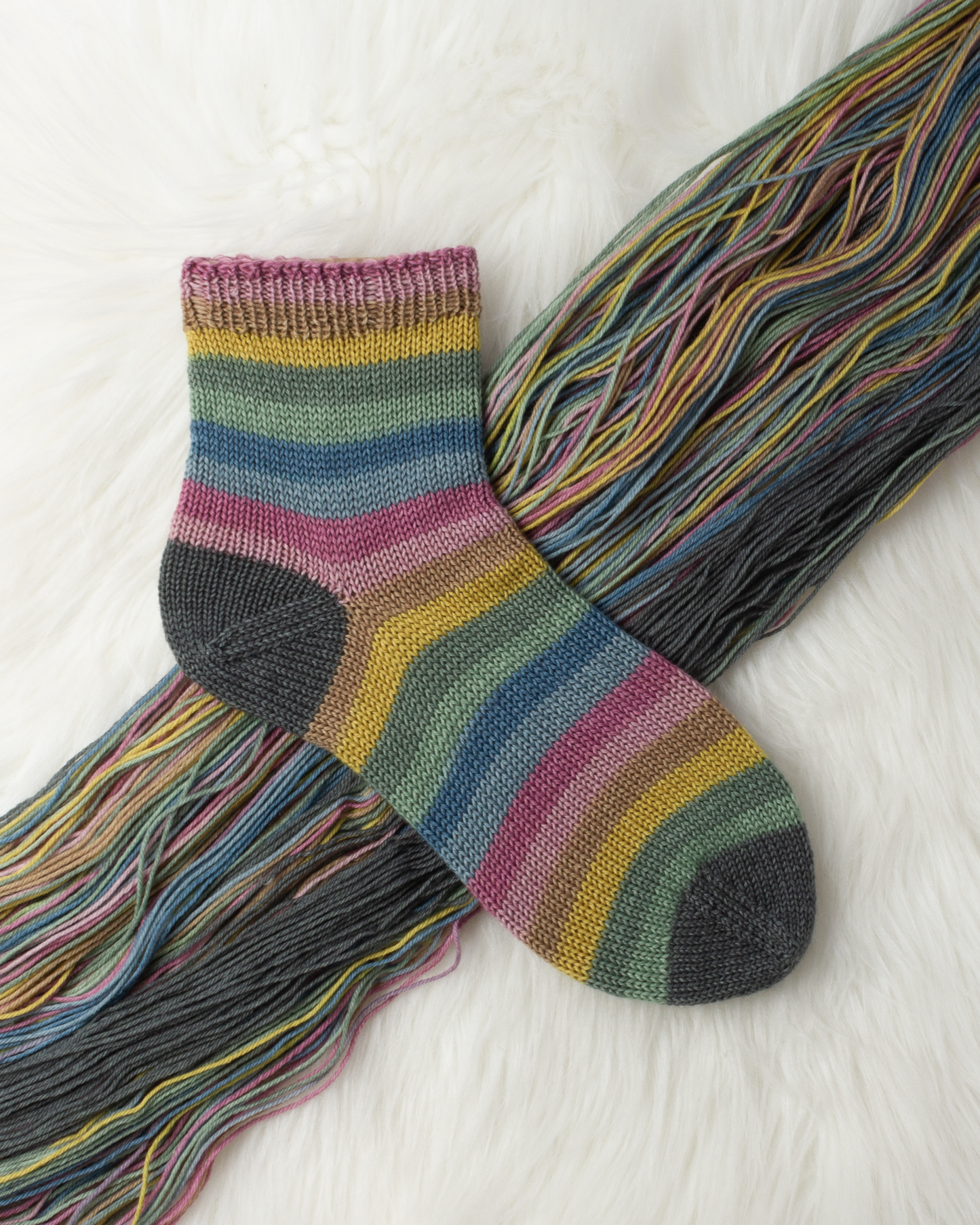 Whiskey in a Teacup : Round Trip