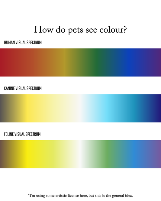 Our Rainbows