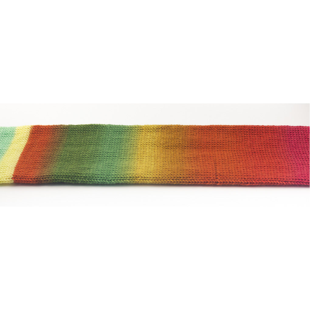 maple Wildflower Meadow knit socks andrea rangel gauge dye works