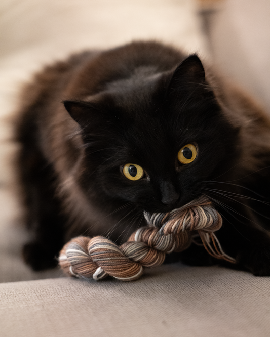 Something exciting is coming next week!