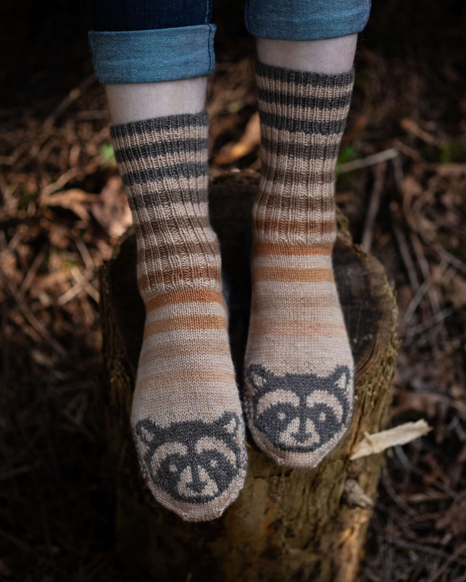 Raccoon Socks