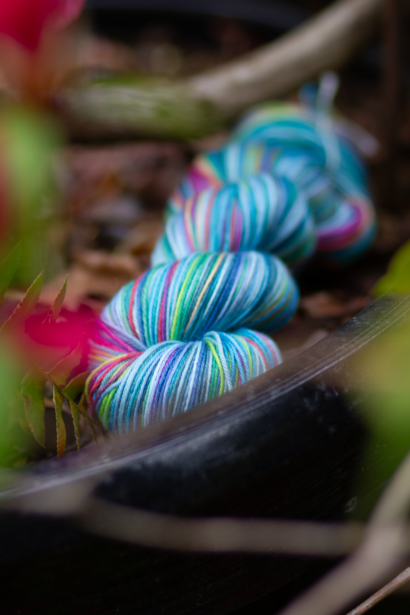 Rhododendron : Round Trip