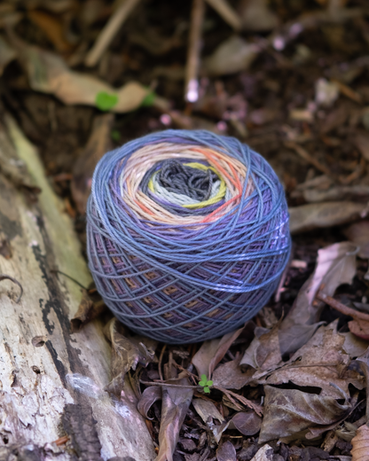 Turkey Tail : One Way Trip