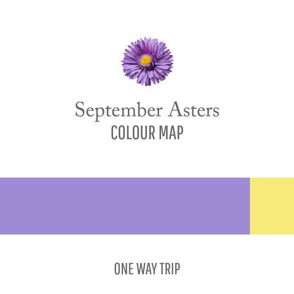 September Asters : One Way Trip