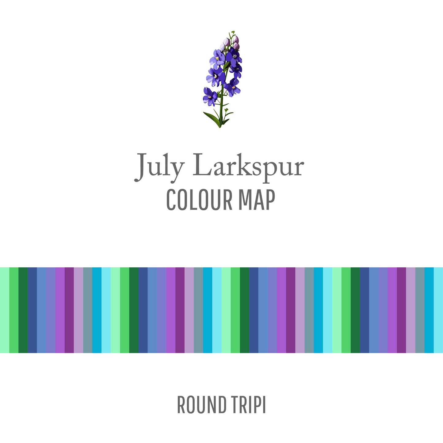 July Larkspur : Round Trip