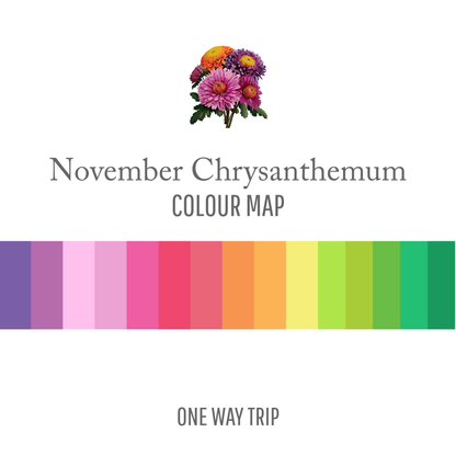 November Chrysanthemum : One Way Trip