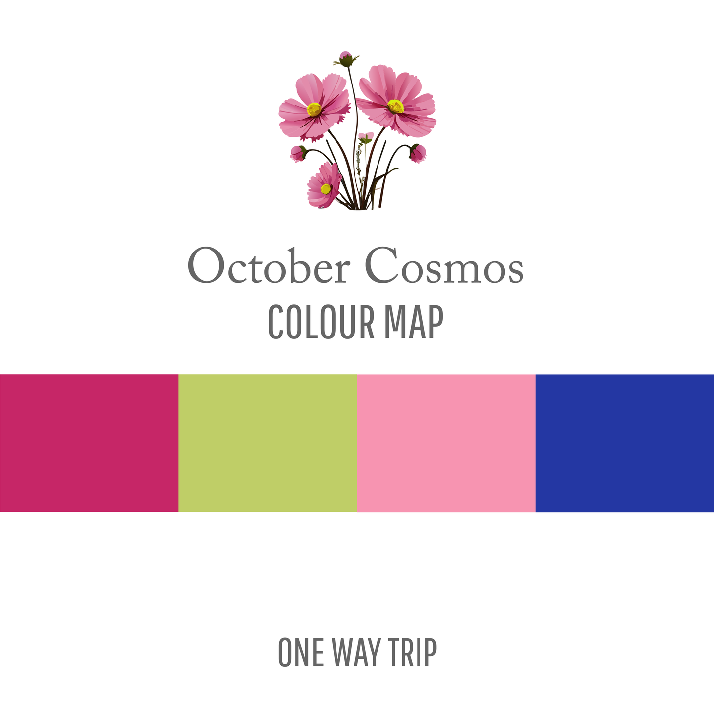 October Cosmos : One Way Trip