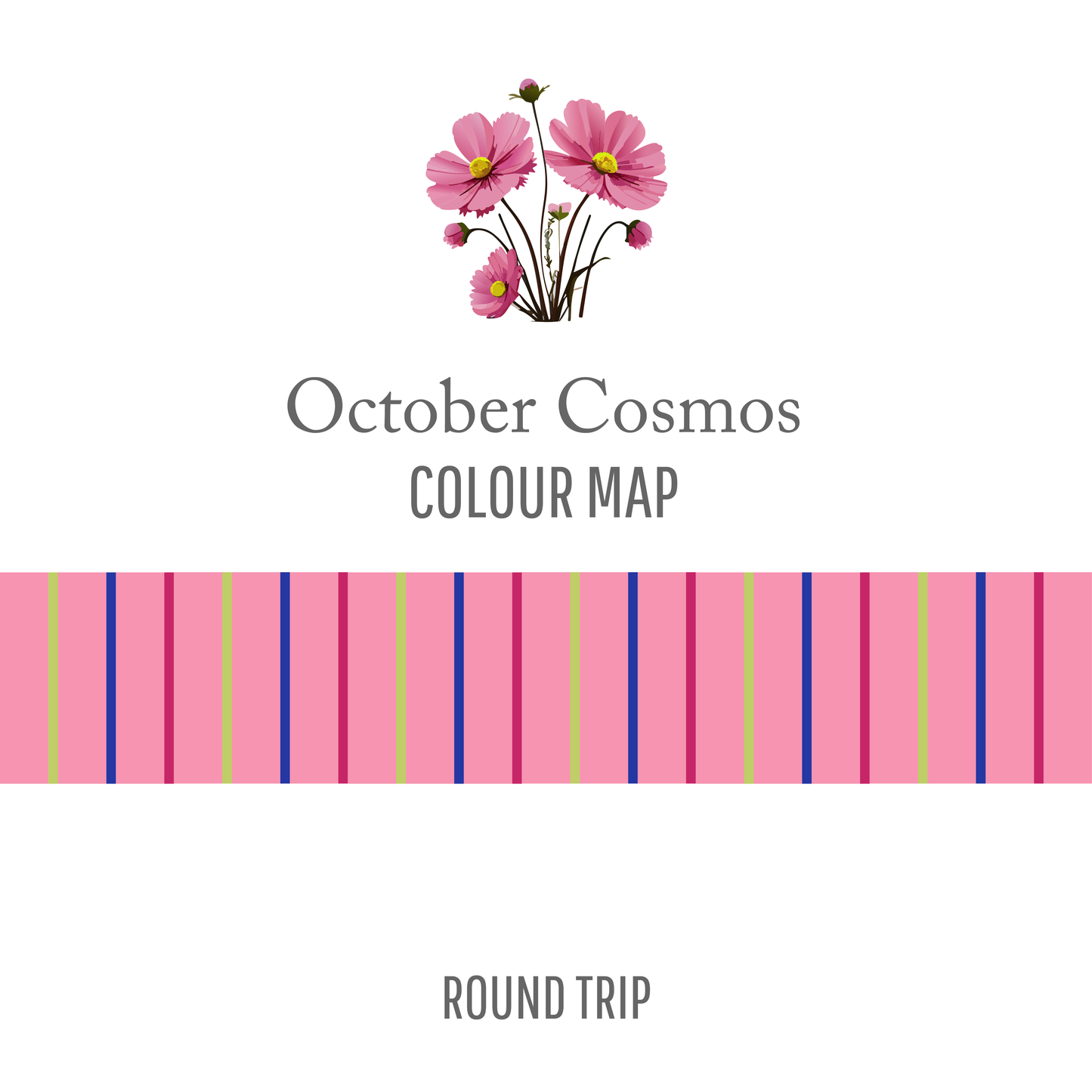 October Cosmos : Round Trip