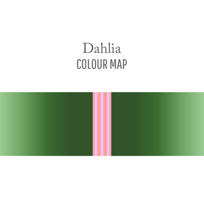 Dahlia : Round Trip