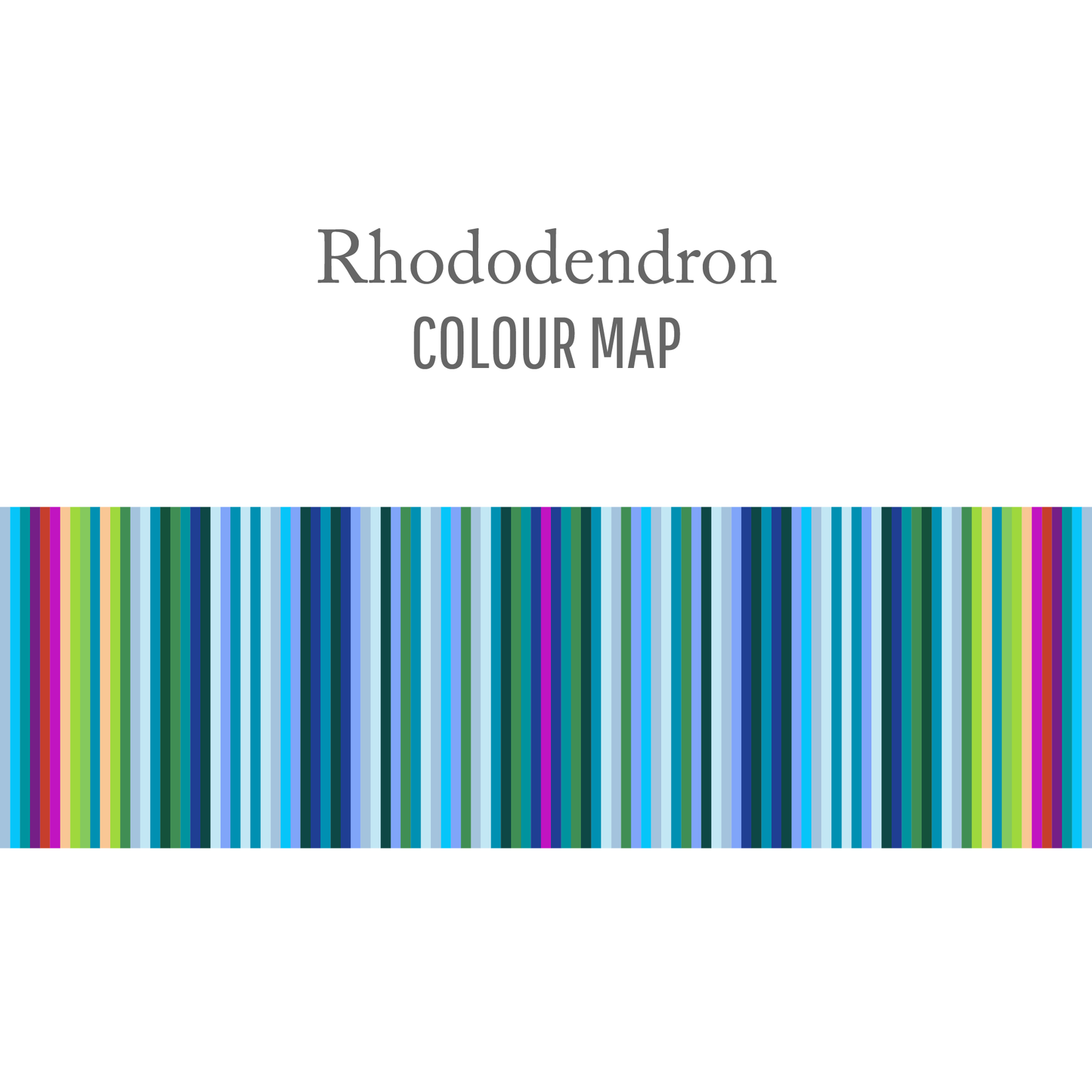 Rhododendron : Round Trip