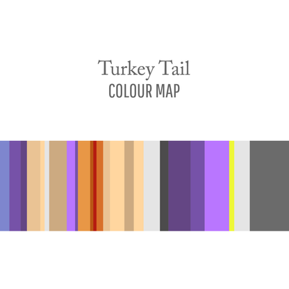 Turkey Tail : One Way Trip