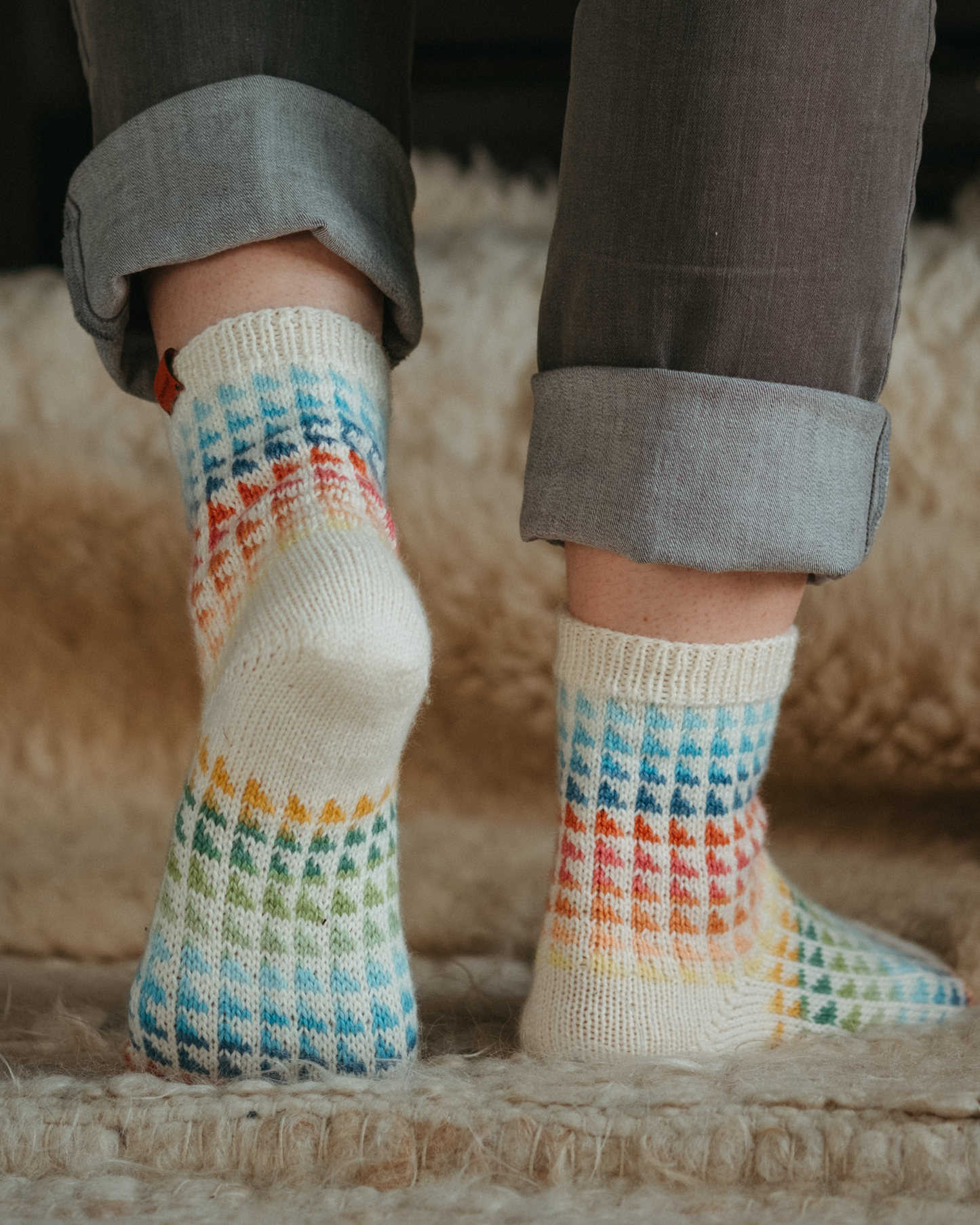 Celebrate: Round Trip