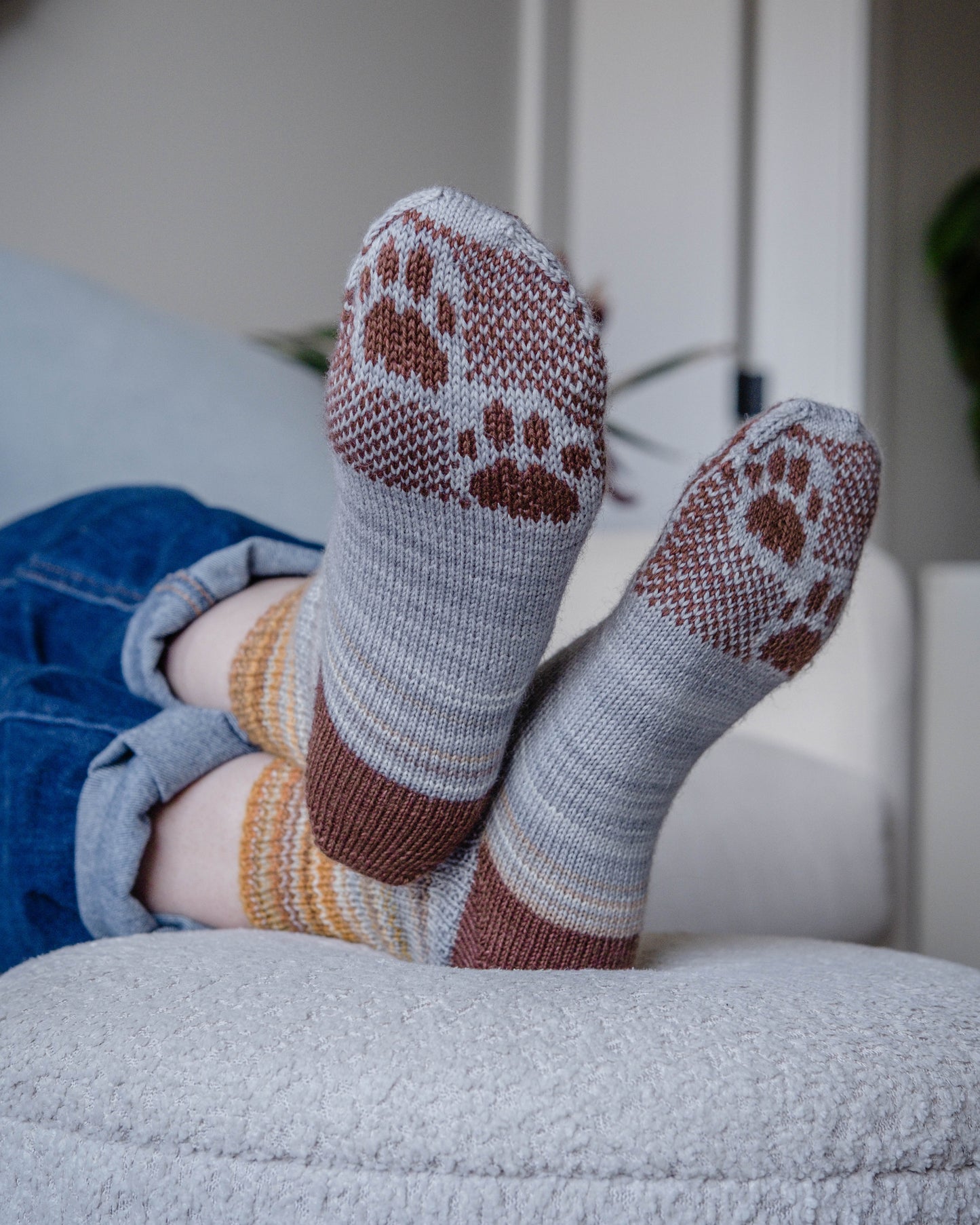 Cats and Dogs Socks : June 2026 KAL