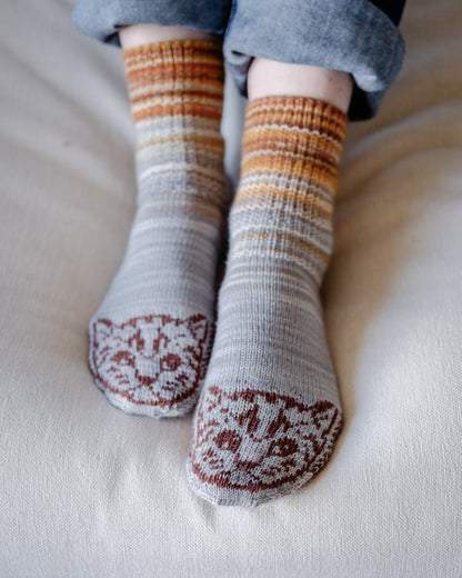 Cats and Dogs Socks : June 2026 KAL