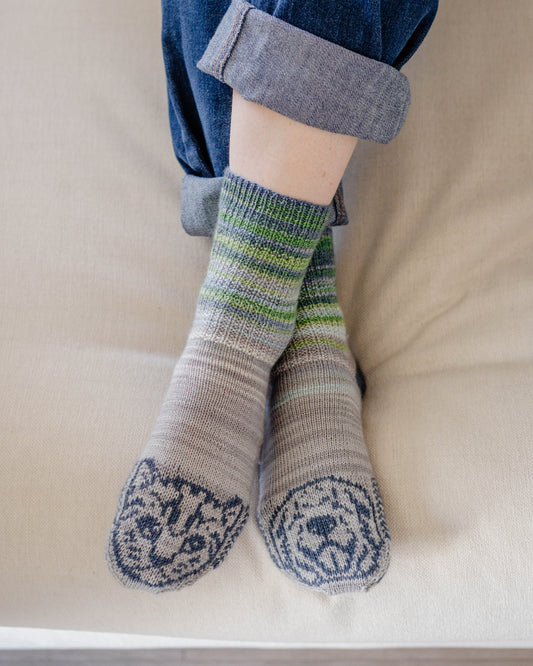 Cats and Dogs Socks : June 2026 KAL