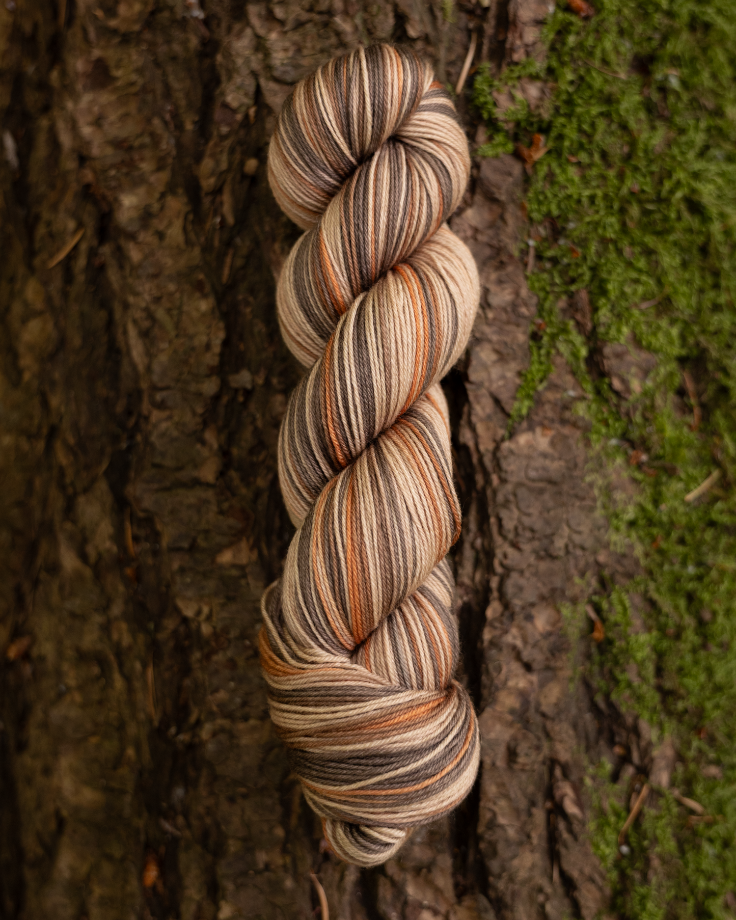 Forest Floor : Round Trip