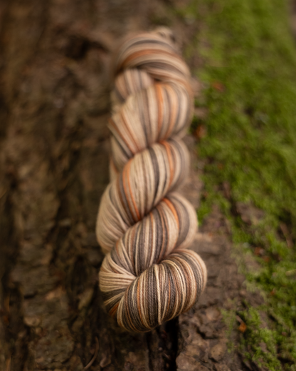Forest Floor : Round Trip