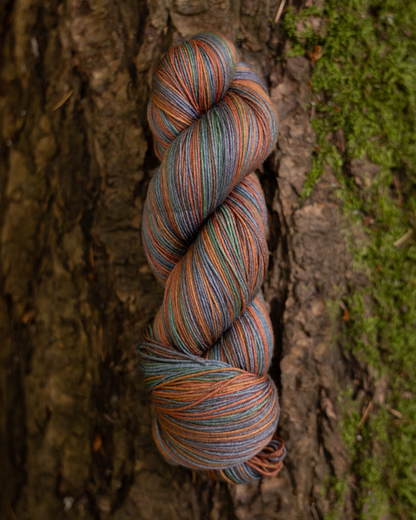 Old Growth : One Way Trip