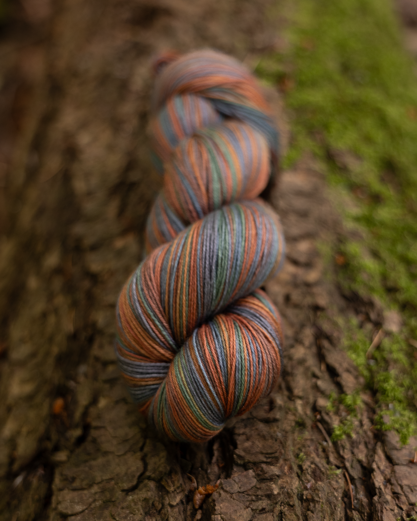 Old Growth : One Way Trip