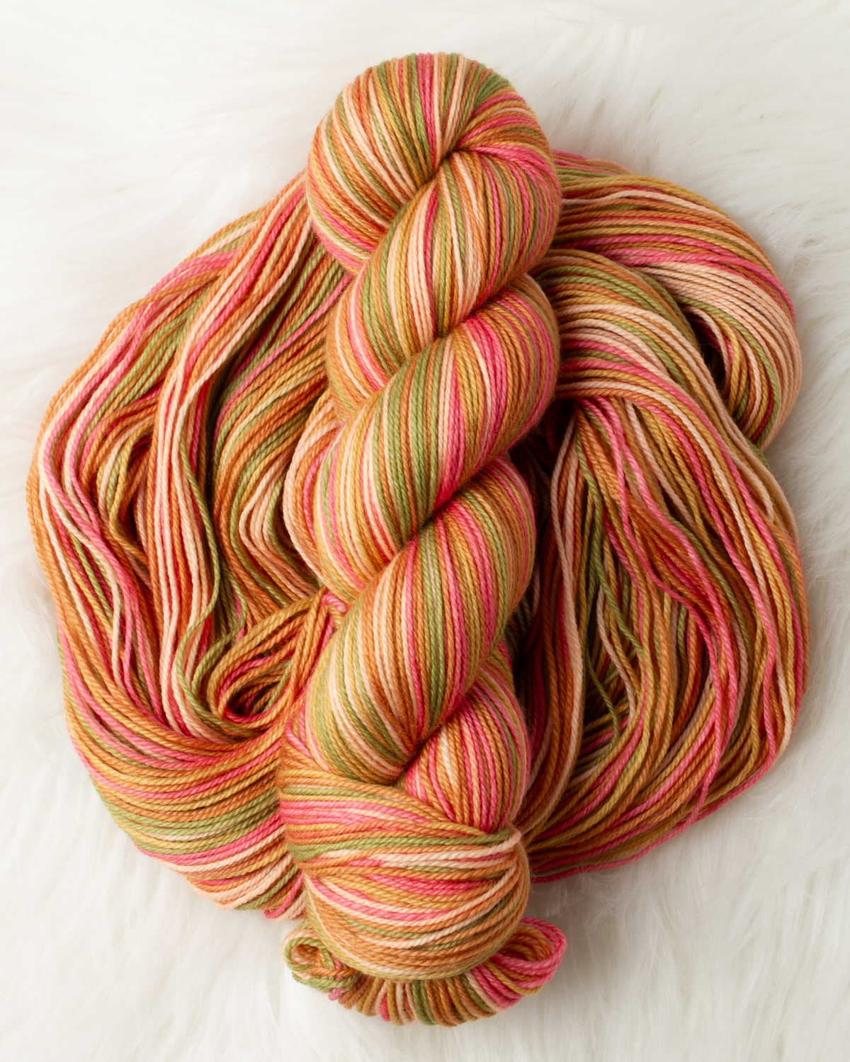 Tamarix : Round Trip