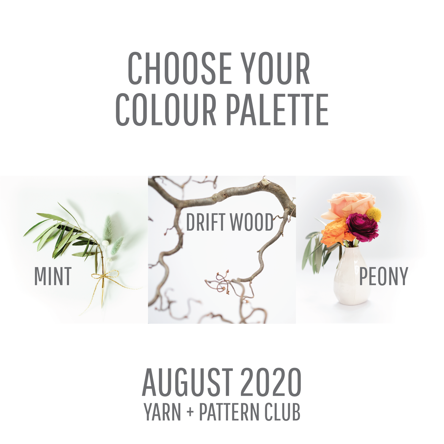Yarn + Pattern Club : August 2020