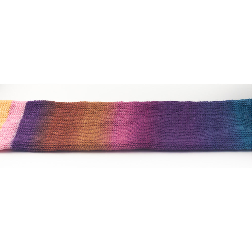 Beachy Wildflower Meadow knit socks andrea rangel gauge dye works