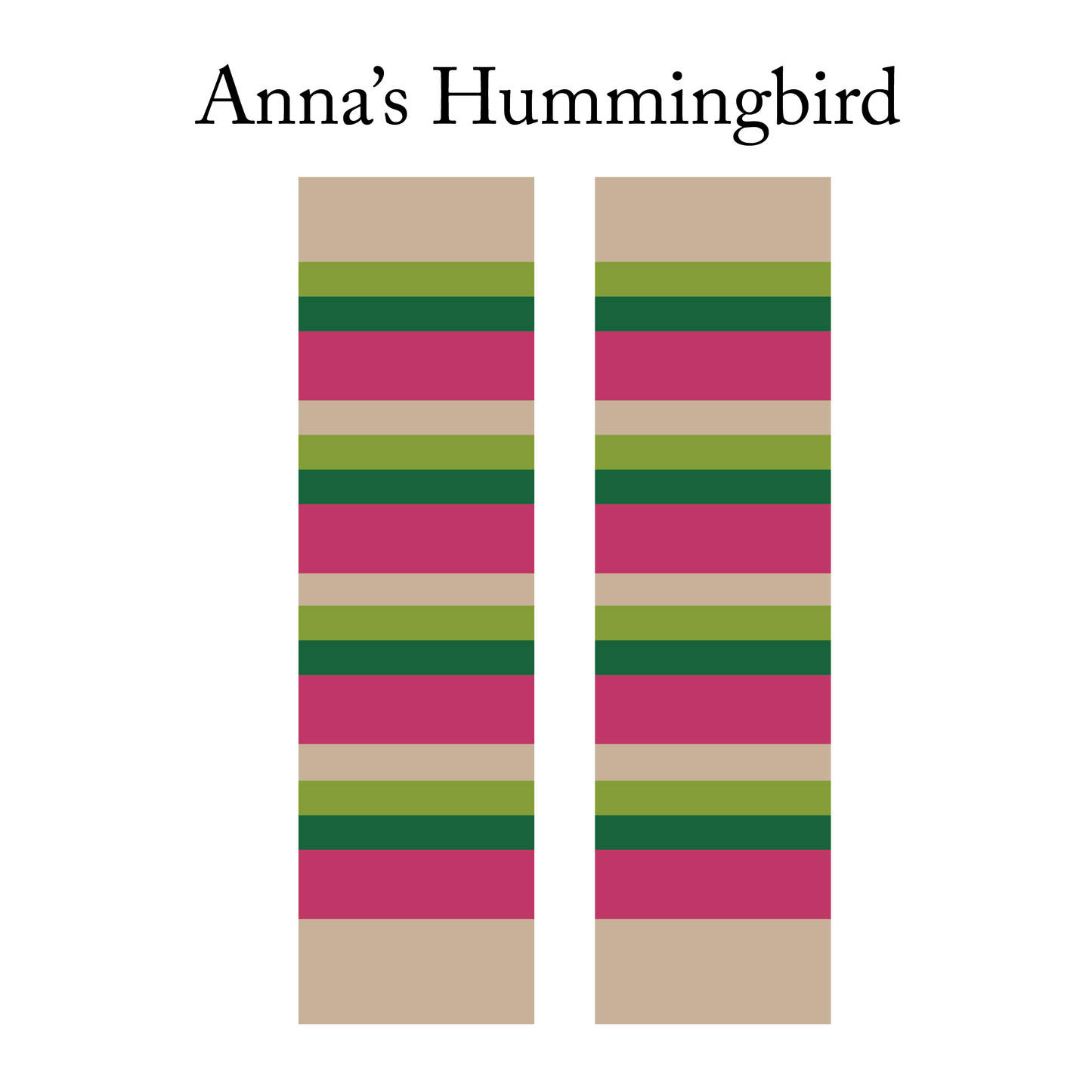 CLASSIC : Anna's Hummingbird