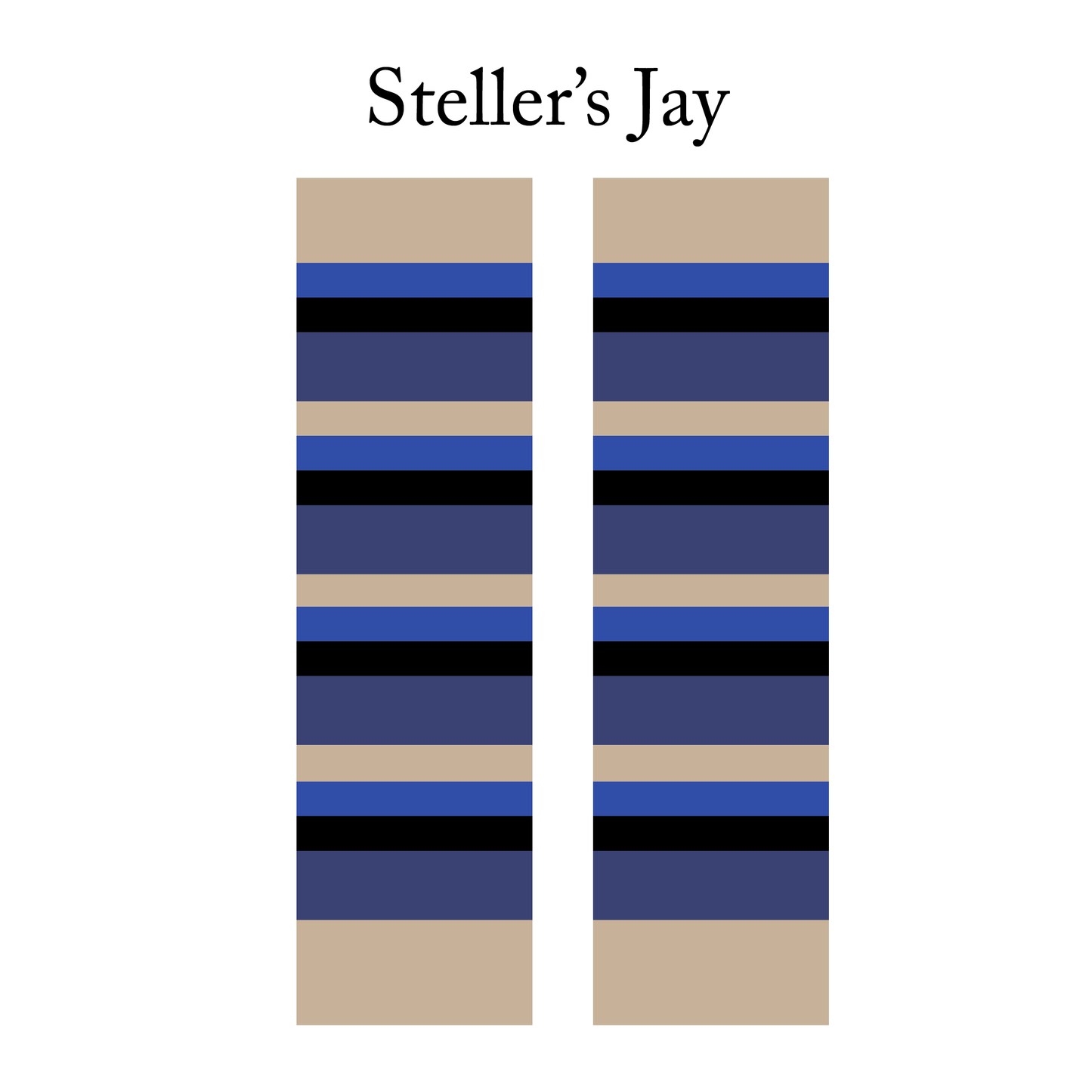 CLASSIC : Steller's Jay