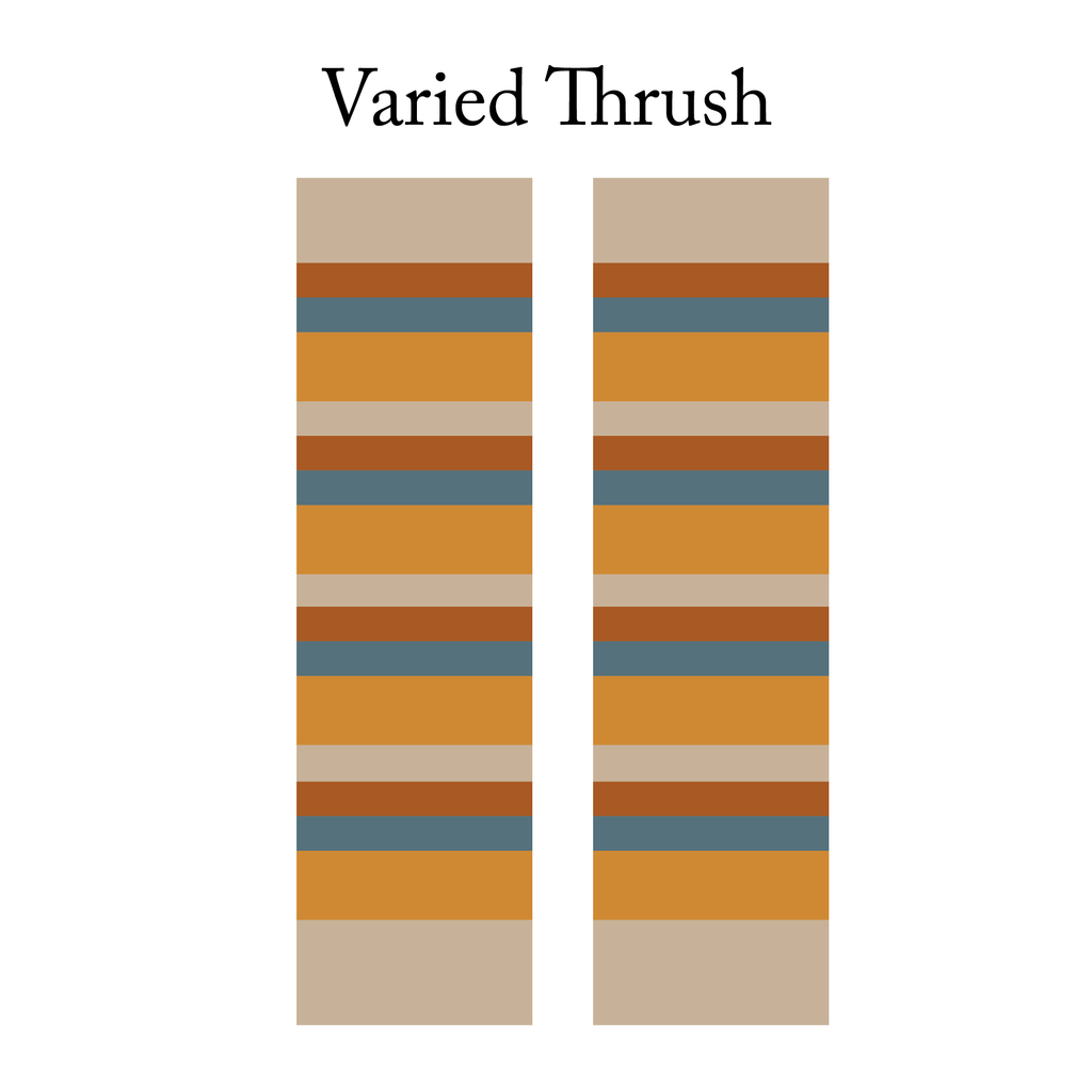 CLASSIC : Varied Thrush